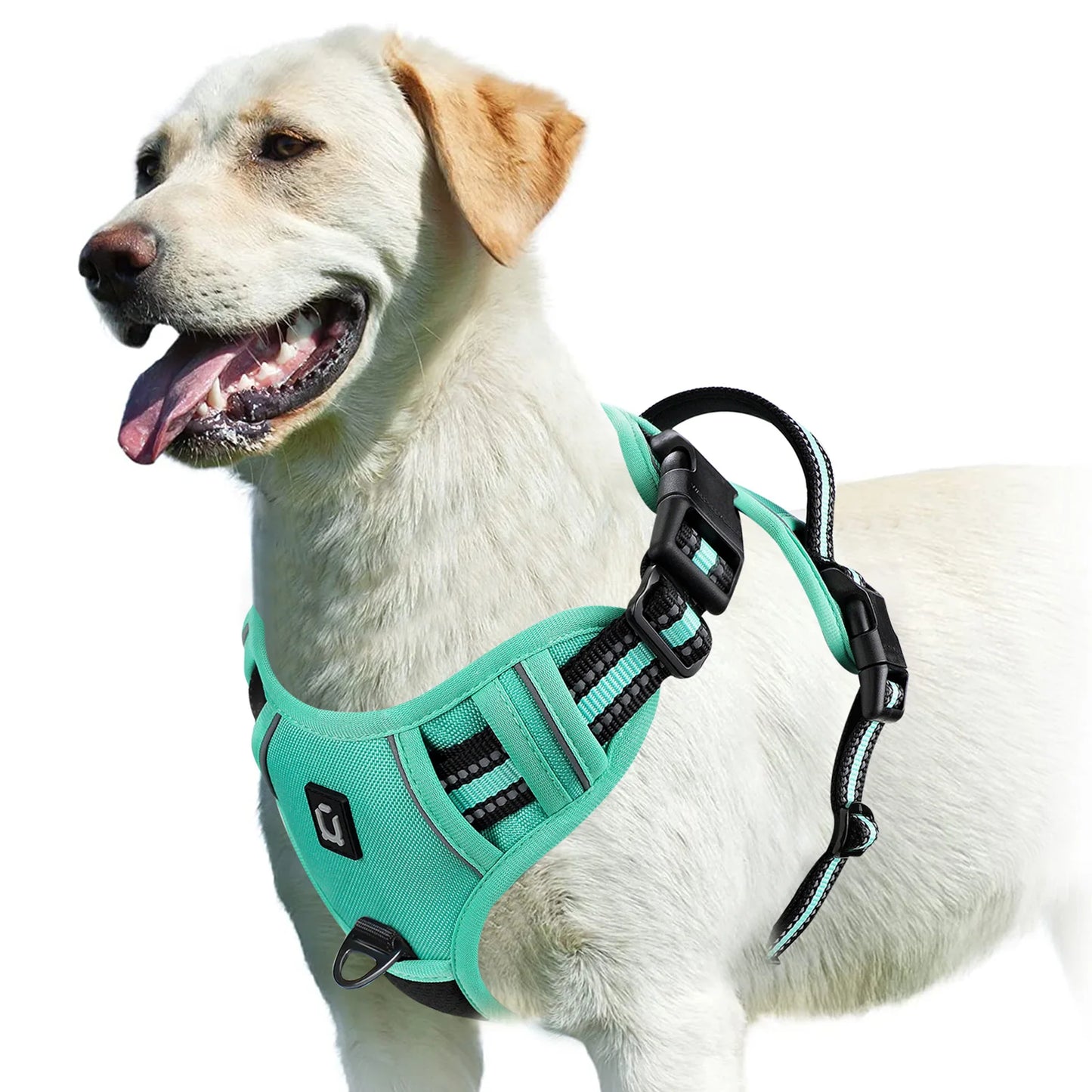 WalkEase™ No-Pull Dog Harness – Comfort & Control