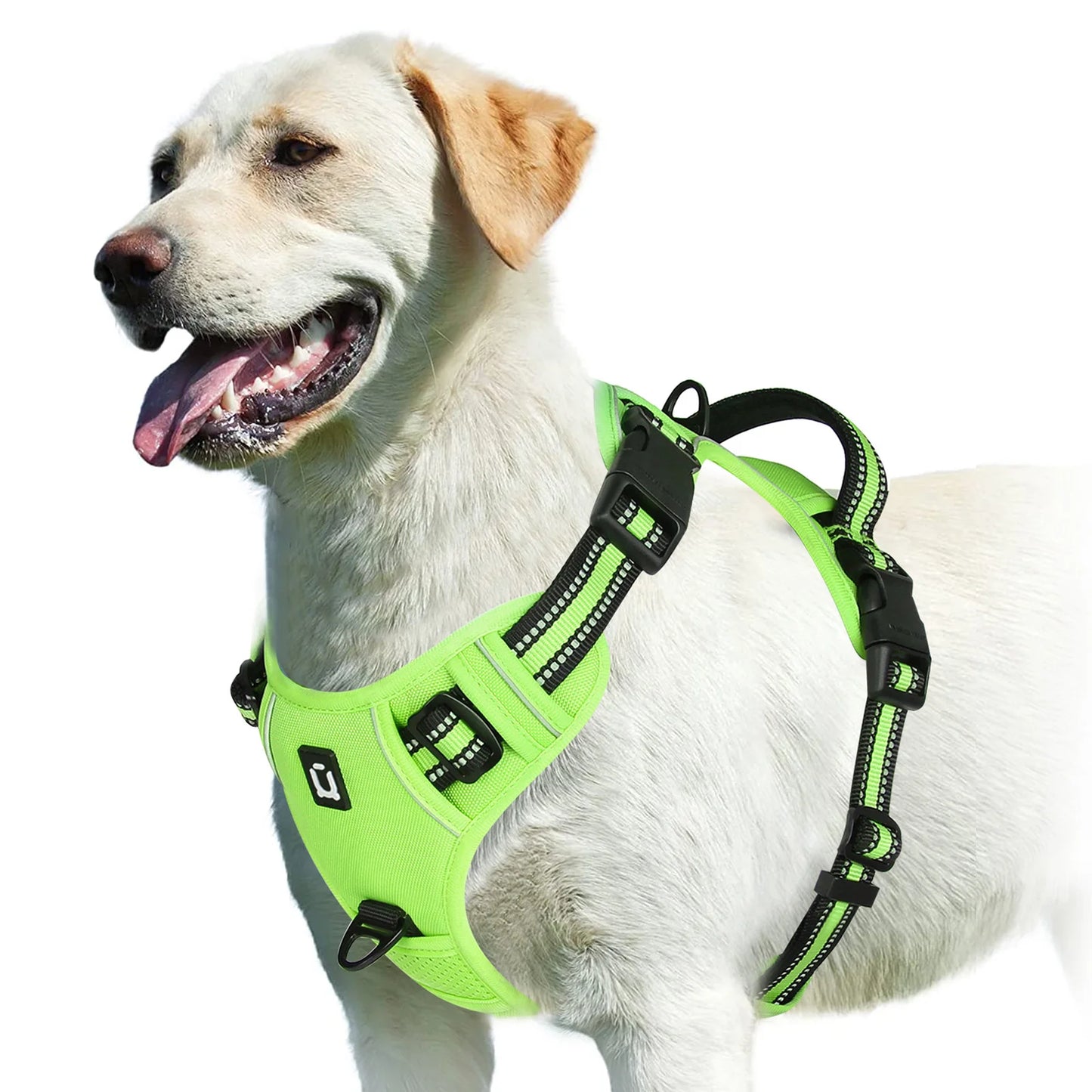 WalkEase™ No-Pull Dog Harness – Comfort & Control