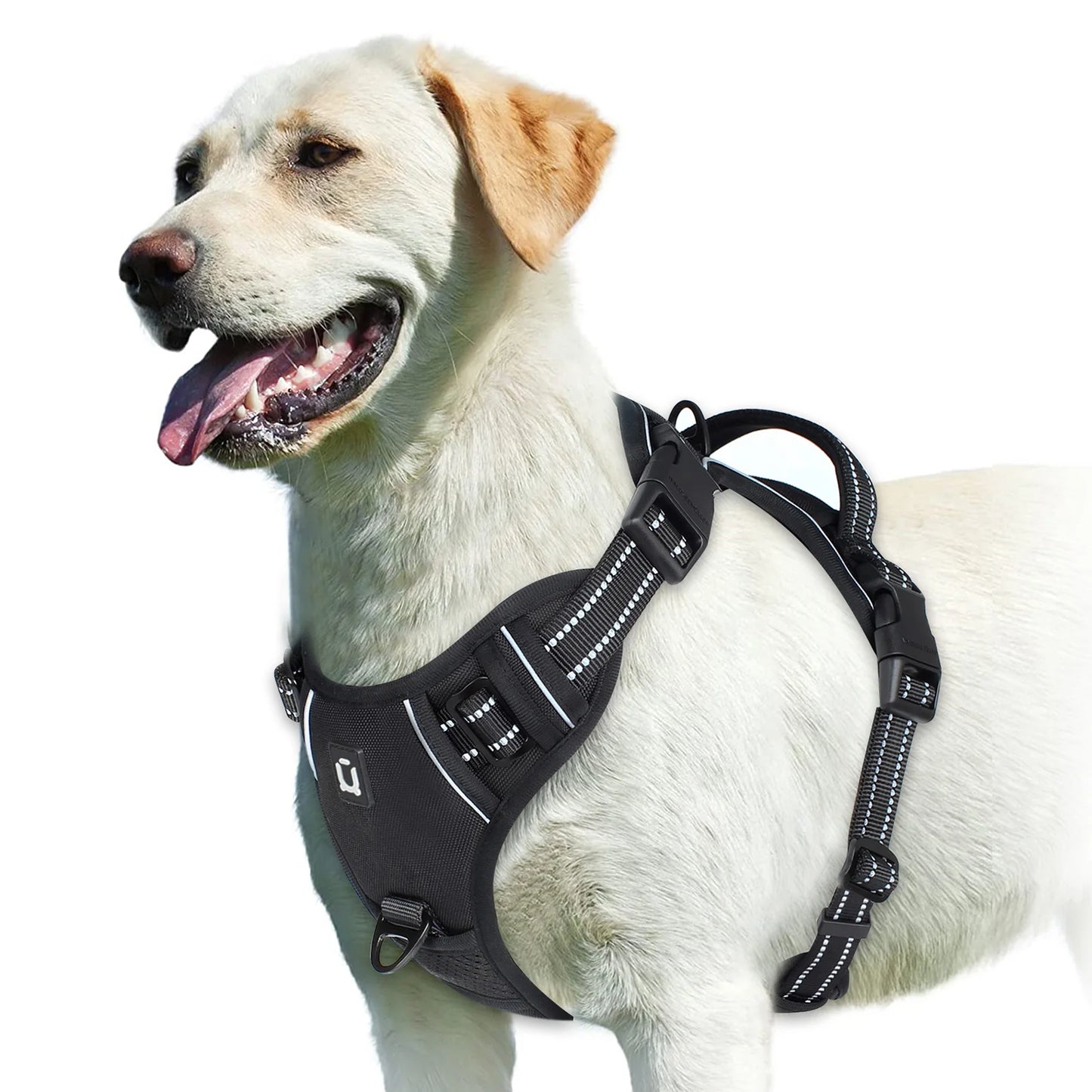 WalkEase™ No-Pull Dog Harness – Comfort & Control