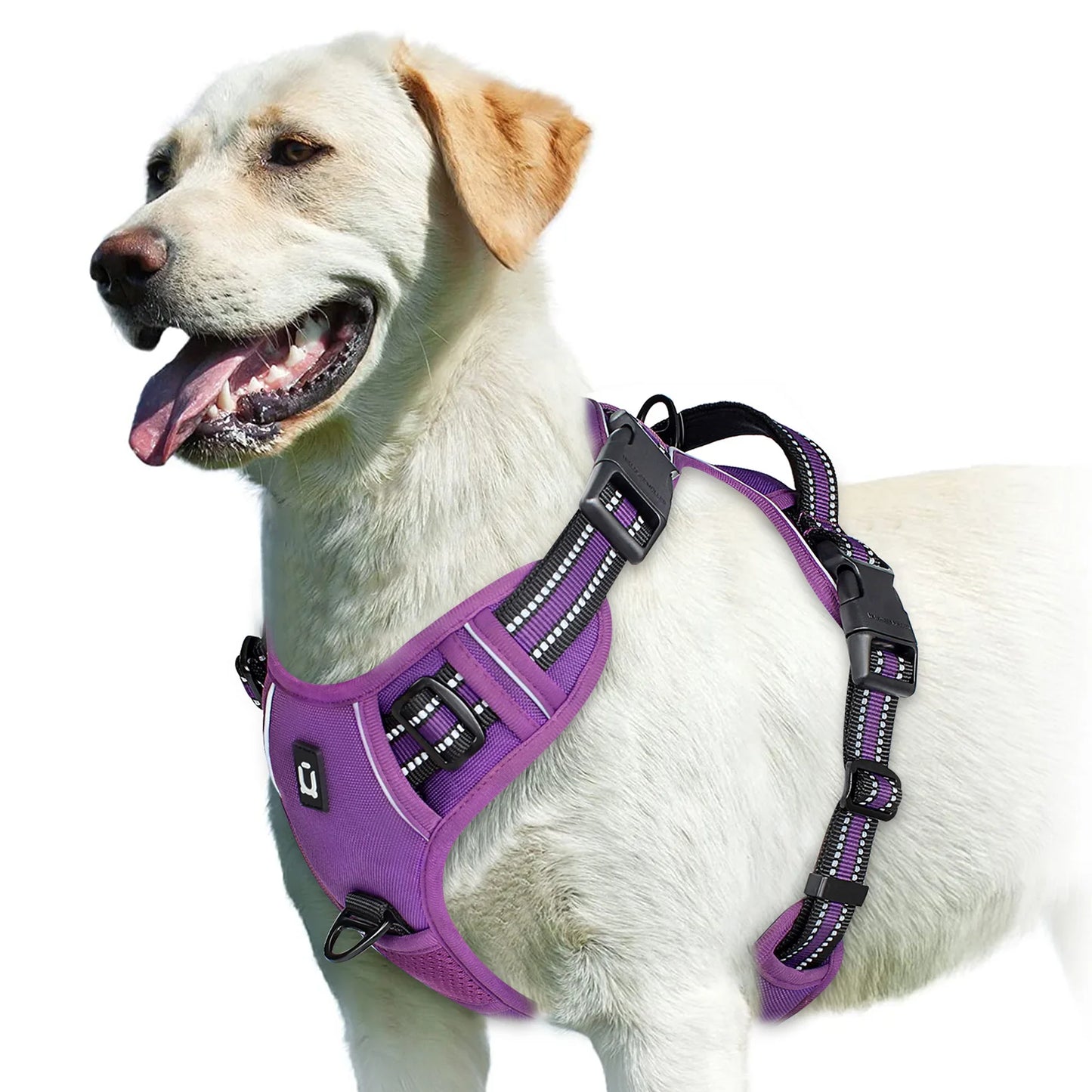 WalkEase™ No-Pull Dog Harness – Comfort & Control